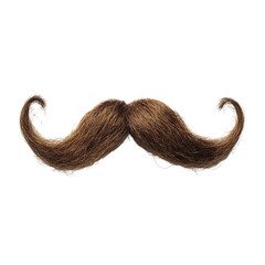 Magnificent Handlebar Mustache: A Close-Up