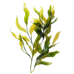 Lush Green and Yellow Aquatic Plant