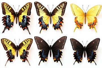 Naklejka premium Group of butterflies on a white surface