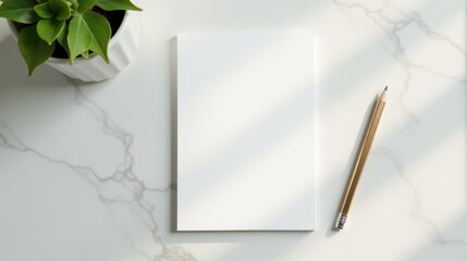 A spiral notebook, pencil, and potted plant on a marble desk captured in bright, natural lighting
