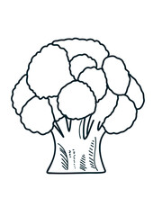 broccoli doodle in cartoon style