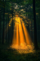 Fototapeta premium Photo réaliste d’une forêt mystique, baignée par des rayons de soleil dorés traversant les arbres, avec une légère brume s’élevant doucement du sol forestier, créant une atmosphère magique et éthérée