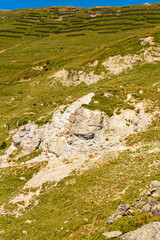 Alpine summer view at Mount Schoenjoch, Fiss, Inntal valley, Samnaun, Landeck, Tyrol, Austria