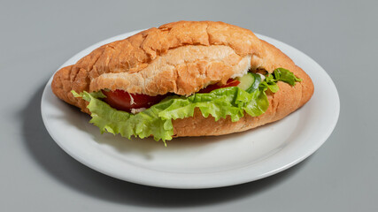 Doner kebab isolated on plate