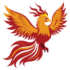 Fenix bird illustration