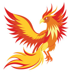 Fenix bird illustration