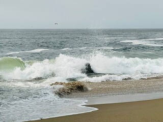 Santa Cruz