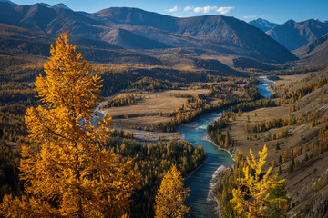 Obraz premium Autumn scenery with golden-colored trees, flowing river in mountain valley, and clear sky