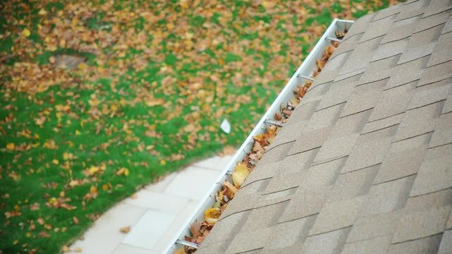 Dirt, debris, fallen leaves from roof gutter drain that has become clogged. Close up