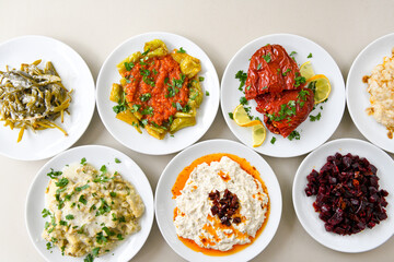 Delicious meat kebab with fresh vegetable salad served with variety of Turkish dishes and appetizers. Top view of assorted Turkish food and meze, tasty and healthy Mediterranean cuisine.