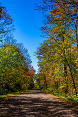 Fototapeta premium Colorful Wisconsin forest on a gravel road with blue sky in early October