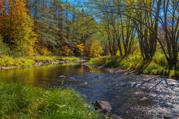 Obraz premium Colorful Wisconsin forest with a river and a blue sky in early October