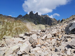 Réserve des Aiguilles rouges, Alpes françaises