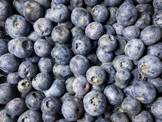 blueberries close up