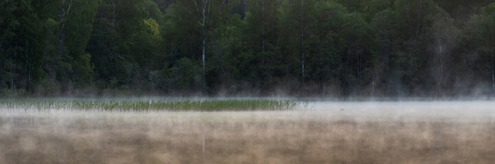 Morning fog on the lake. View of the lake and trees on the shore. Summer landscape. Beautiful natural background. Wide panorama.