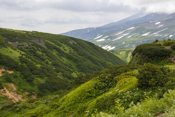 Summer mountain landscape. View of the mountain gorge. Travel, tourism and hiking on the Kamchatka Peninsula. Beautiful nature of Siberia and the Russian Far East. Kamchatka Territory, Russia.