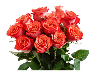 Obraz premium bouquet of roses; isolated
