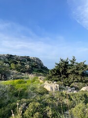 Breathtaking View of Cape Greco Mountain – Verdant Landscape of Cyprus with Vibrant Wildflowers, Rugged Terrain, and Clear Blue Skies Natural Beauty