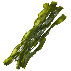 Long green seaweed strips placed on a plain white background, perfect for showcasing their fresh, natural look and healthy benefits © kami