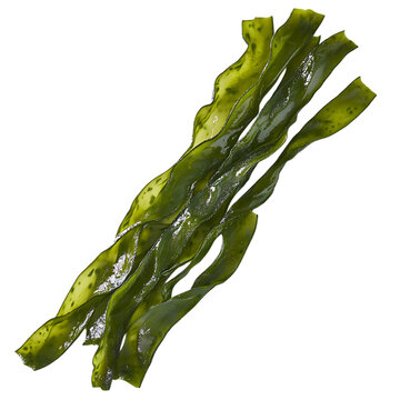 Long green seaweed strips placed on a plain white background, perfect for showcasing their fresh, natural look and healthy benefits