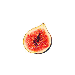 Sliced fig with its red, juicy inside shown on a plain white background, focusing on the vibrant colors and fresh, sweet appeal of the fruit