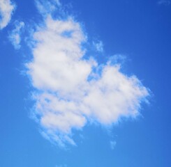 Heart or wings, blue sky