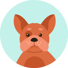 French bulldog puppy portrait looking at the viewer, in a light blue circle, ideal for social media profile pictures, stickers, and animal themes