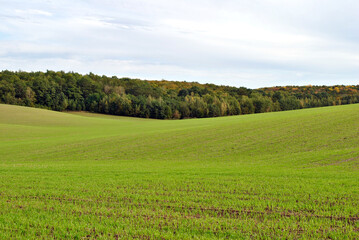 field and blue sky