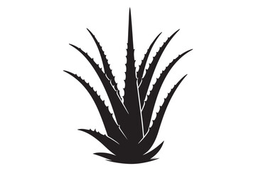 Fototapeta premium Alovera vector silhouette 