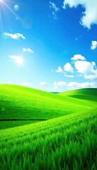 Obraz premium A sea of lush green grass meets a brilliant blue sky , green fields, fields with sky, green meadows
