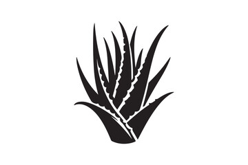 Alovera vector silhouette 
