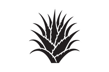 Alovera vector silhouette 