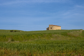 Field with house on the horizon, Sicily, Italy