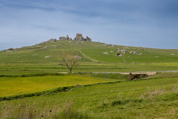 Obraz premium Fresh spring landscape with a rock, Sicily, Italy