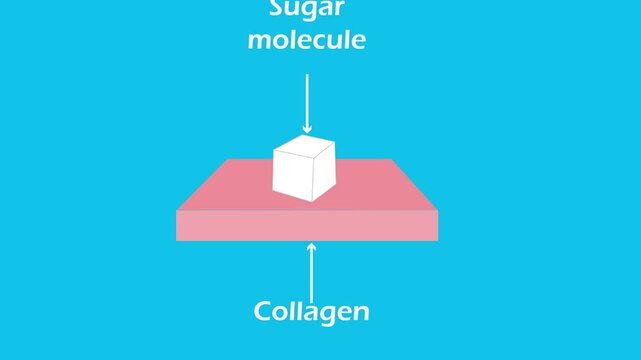 Glycation diagram. Effect of sugar molecule on collagen. Study content for biology and medicine students. Video illustration 4k.