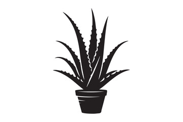 Alovera vector silhouette  74.eps
