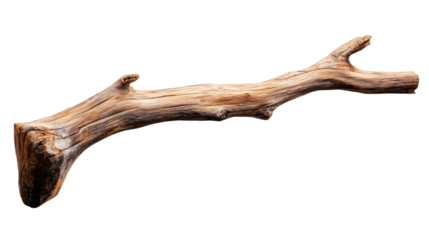 Isolated dry branch with transparent background, perfect for adding a natural touch to designs