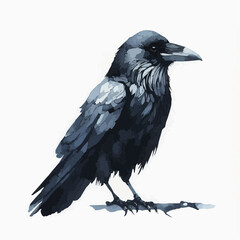 Fototapeta premium raven on a white background