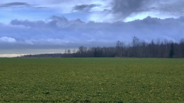 Town train road trip side window with a beautiful landscape. Nature green hills and forest before sunset. Travel from the train. Time lapse scene. Window replacement for car driving on roads.