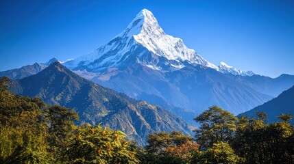 Fototapeta premium Majestic snow-capped mountain peak rises above lush green valley under a clear blue sky.
