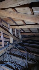 1848)Request for removal of Japanese yellow hornet nest from the deep in the attic on the second floor(Photo taken at 17:13 on august 2, 2017)