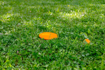 Bright orange frisbee disc on green grass lawn