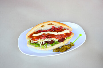 Meat Chicken Doner, between bread (Turkish Name : ekmek arasi et doner, tavuk doner, Gobit ekmek...