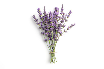 Fototapeta premium Bunch of lavender flowers are tied together with a string
