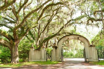 Entrance gate and oak alley of southern plantation near Savannah, Georgia, USA