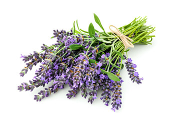 Bunch of lavender flowers are tied together with a string
