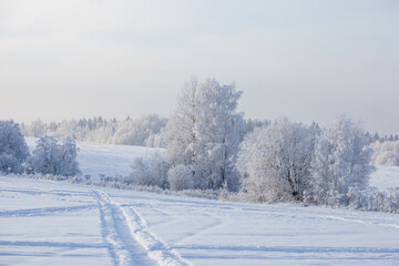 winter landscape with snowy fields and forest covered with hoarfrost in a frosty haze