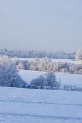 winter landscape with snowy fields and forest covered with hoarfrost in a frosty haze