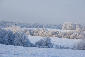 winter landscape with snowy fields and forest covered with hoarfrost in a frosty haze
