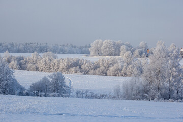 winter landscape with snowy fields and forest covered with hoarfrost in a frosty haze